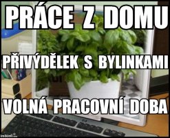 Vydělávám a přitom