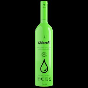 Chlorofil – tekutá energia